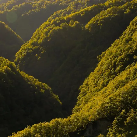 アパート Wild Valley Panorama In Valle Onsernone Spruga